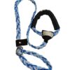 Guinzaglio Cane della Lazio Retriever Fashion Style