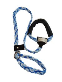 Guinzaglio Cane della Lazio Retriever Fashion Style