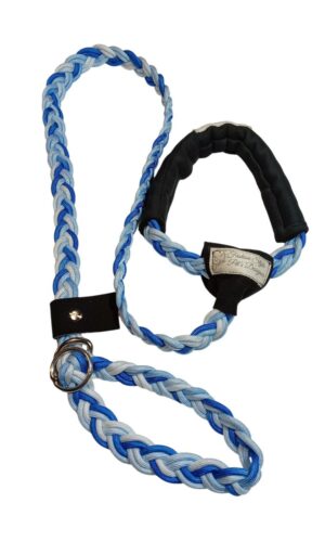 Guinzaglio Cane della Lazio Retriever Fashion Style