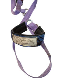 Guinzaglio alta qualità e Comfort edizione limitata, massimo comfort resistente in acciaio inox