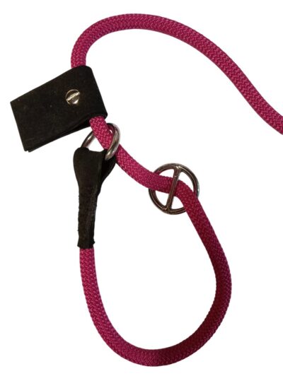 Guinzaglio Staccabile Per Cani - Manico Ergonomico - Collare Regolabile