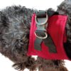 Pettorina Cane Massimo Comfort, sicurezza, sottopancia ergonomica e Stile per il tuo Cane