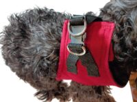 Pettorina Cane Massimo Comfort, sicurezza, sottopancia ergonomica e Stile per il tuo Cane