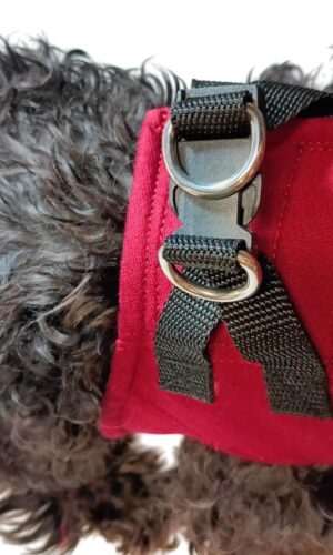 Pettorina Cane Massimo Comfort, sicurezza, sottopancia ergonomica e Stile per il tuo Cane